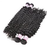 GS Virgin Hair 4Pcs/pack Indian Human Virgin Deep Curly Hair Weaves Cabello Series