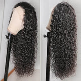 GS Virgin Hair Jerry Curly Remy Wig 13*4 Lace Front Pre Pluck Human Hair Wigs 150% Density Wigs